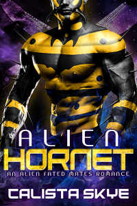04_hornet